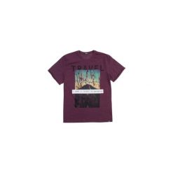 T-shirt męski. Brązowe t-shirty męskie TXM, m, bez wzorów, bez kołnierzyka. Za 24,99 zł.