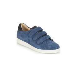 Buty André AVENUE. Niebieskie trampki męskie marki Andre, bez wzorów, bez zapięcia. Za 349,00 zł.