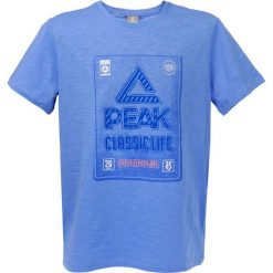 T-shirty męskie: PEAK T-SHIRT MĘSKI niebieski r. M F652125