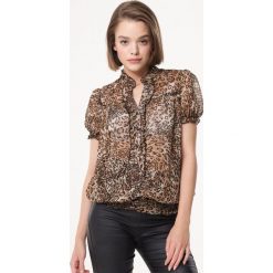 Brązowa Bluzka Safe Me. Pomarańczowe bluzki damskie Born2be, xl, z aplikacjami, klasyczne, ze stójką, z krótkim rękawem. Za 39,99 zł.