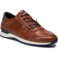 Sneakersy SALAMANDER - Avato 31-56204-07 Cognac. Pomarańczowe sneakersy męskie Salamander, na co dzień, bez wzorów, ze skóry, bez zapięcia. Za 429,00 zł.