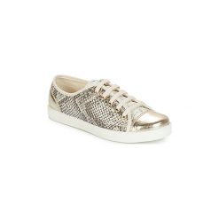 Buty André BIMBO. Szare trampki i tenisówki damskie Andre, bez wzorów, bez zapięcia. Za 159,20 zł.