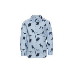 Koszule chłopięce: name it Boys Koszula Oliver ashley blue