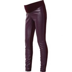 Legginsy: Pietro Brunelli ANDREW Legginsy grape/port royale