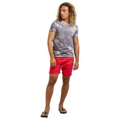 Protest T-Shirt Męski Tail S Szary. Szare t-shirty męskie marki Protest, m. W wyprzedaży za 109,00 zł.