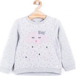 Bluza. Szare bluzy dziewczęce marki TEA TIME. Za 29,90 zł.