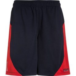 Polo Ralph Lauren Spodnie treningowe french navy. Niebieskie jeansy chłopięce marki Polo Ralph Lauren. W wyprzedaży za 160,30 zł.