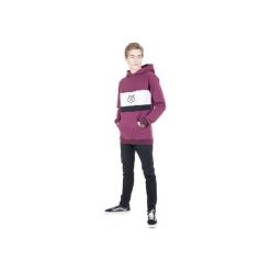 BLUZA Z KAPTUREM FLAGLIKE. Czerwone bluzy męskie ŚWINIE, xl, z haftami, z elastanu, z kapturem, bez rękawów, z kapturem. Za 181,30 zł.