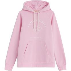Bluzy rozpinane damskie: BLUZA ALVA RÓŻOWA