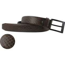 Pasek PAK0003316. Pomarańczowe paski męskie marki Giacomo Conti, w paski, ze skóry. Za 149,00 zł.
