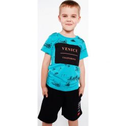 T-shirt chłopięcy z nadrukiem miętowa NDZ4445. Zielone t-shirty chłopięce marki Fasardi, z nadrukiem, bez rękawów. Za 39,00 zł.