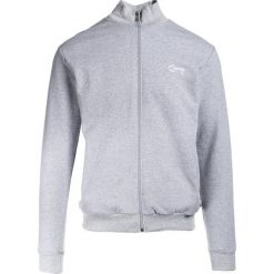 Szara Bluza Shantelle. Szare bluzy męskie Born2be, xl, z nadrukiem, z dzianiny, sportowe, z kapturem. Za 39,99 zł.