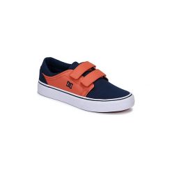 Buty Dziecko DC Shoes TRASE V B SHOE IND. Niebieskie trampki chłopięce marki DC Shoes. Za 239,00 zł.