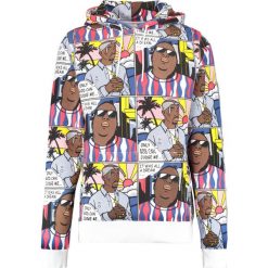 Bluzy męskie: Cayler & Sons WL SUNDAY STRIP Bluza z kapturem bunt