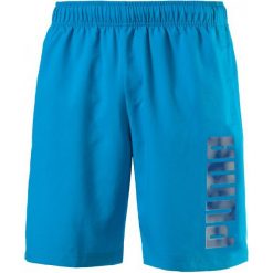 Spodenki sportowe męskie: Puma Spodenki Sportowe Hero Woven Shorts Blue Danube S