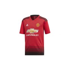 T-shirty z krótkim rękawem Dziecko adidas Koszulka podstawowa Manchester United. Czerwone t-shirty chłopięce z krótkim rękawem Adidas. Za 279,00 zł.
