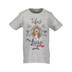 Blue Seven Chłopięca Koszulka Z Nadrukiem 116 Szary. Szare t-shirty chłopięce Blue Seven, z nadrukiem, z bawełny, bez rękawów. Za 39,00 zł.