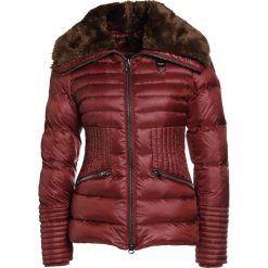 Kurtki damskie: Blauer Kurtka puchowa bordeaux