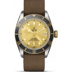 ZEGAREK TUDOR BLACK BAY S&G 79733N 72063 CHAM INDEX. Żółte zegarki męskie TUDOR, ze stali. Za 21090,00 zł.
