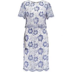 Sukienki: Dorothy Perkins EXCLUSIVE LACE PENCIL Sukienka etui blue