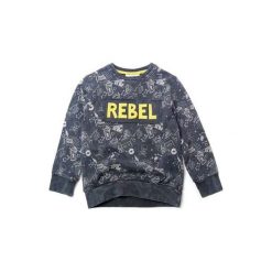 Gelati Głopięca Bluza Z Graffiti, 128, Czarna. Czarne bluzy chłopięce marki Gelati, z napisami, z bawełny. W wyprzedaży za 45,00 zł.
