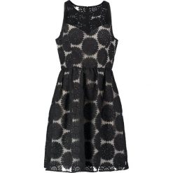 Sukienki: Adrianna Papell Sukienka letnia black/almond