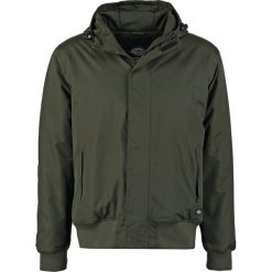 Dickies CORNWELL Kurtka zimowa olive green. Szare kurtki męskie zimowe marki Dickies, z bawełny. Za 369,00 zł.