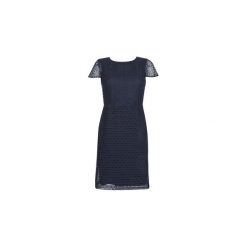 Sukienki krótkie Lauren Ralph Lauren NAVY SHORT SLEEVE DAY DRESS. Niebieskie sukienki damskie Lauren Ralph Lauren, bez wzorów, bez kołnierzyka, z krótkim rękawem, krótkie, mini. Za 1099,00 zł.