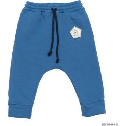 Spodnie chłopięce: Spodnie dresowe Blue Basic
