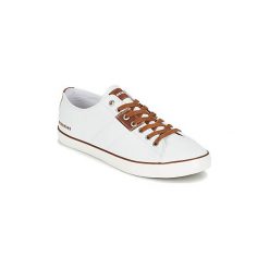 Trampki męskie: Buty Redskins RIZZOLI