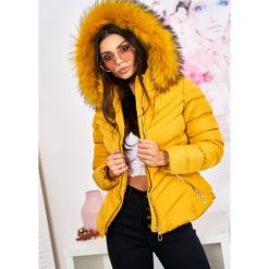 Lottie Puchowa Kurtka Jenot Kolor Musztarda S. Czarne kurtki damskie LIGARI, s, w paski, z bawełny, bez kaptura. Za 229,00 zł.