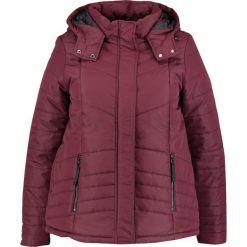 Bomberki damskie: Zizzi JACKET Kurtka przejściowa port royal