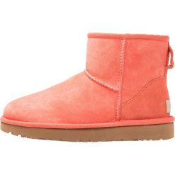 UGG CLASSIC MINI Botki corail. Pomarańczowe buty zimowe damskie marki Ugg, z materiału. Za 719,00 zł.