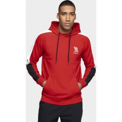Bluza męska. Bluzy męskie xxl, bez wzorów, z dzianiny, z kapturem, bez rękawów, z kapturem. W wyprzedaży za 79,99 zł.