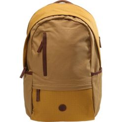 Plecaki męskie: Timberland CLASSIC BACKPACK Plecak wheat