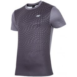 4F Męska Koszulka H4Z17 tsmf003 Czarny Xxl. Czarne koszulki sportowe męskie marki 4f, xxl, ze skóry, na fitness i siłownię. W wyprzedaży za 63,00 zł.