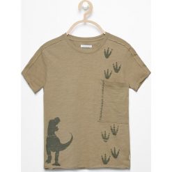 Odzież dziecięca: T-shirt z dinozaurem – Khaki