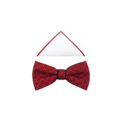 Czerwona mucha męska w drobne kwiatki A210. Czerwone muszki męskie Modini Moda Męska, na co dzień, w kwiaty, z tkaniny, eleganckie. Za 44,55 zł.