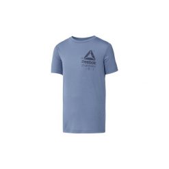 T-shirty z krótkim rękawem Dziecko Reebok Sport Koszulka Boys Training Graphic. Niebieskie t-shirty chłopięce marki Reebok Sport, bez wzorów, z krótkim rękawem. Za 69,95 zł.