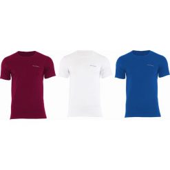 T-SHIRT PIERRE CARDIN 3PAK RNECK MIX2. T-shirty męskie Pierre Cardin, na lato, l, bez wzorów, z bawełny, bez kołnierzyka. Za 75,00 zł.