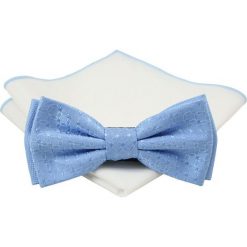 Mucha z poszetką - Chattier, Męska - Niebieska, Delikatna Faktura MUCH0423. Niebieskie muszki męskie Chattier, na imprezę, w paski, eleganckie. Za 44,00 zł.