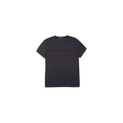 T-shirt męski. T-shirty męskie TXM, m, z nadrukiem, bez kołnierzyka. Za 19,99 zł.