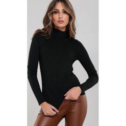 Czarny Golf Ciaron. Czarne swetry damskie Renee, s, w prążki, długie. Za 79,99 zł.