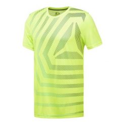Koszulka Reebok Graphic Short Sleeve CE1296. Koszulki męskie Reebok, m, z poliesteru, krótkie. Za 109,00 zł.