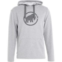 Bluzy męskie: Mammut LOGO HOODY MEN Bluza z kapturem granit melange/titanium