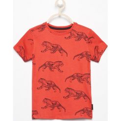 T-shirty chłopięce: T-shirt z egzotycznym nadrukiem – Czerwony