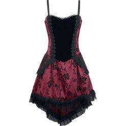 Sukienki: Burleska Eva Dress Sukienka bordowy/czarny