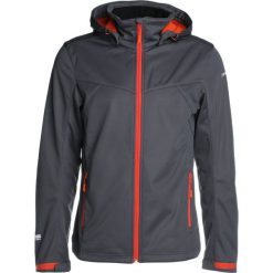 Kurtki sportowe męskie: Icepeak LUKAS Kurtka Softshell grey