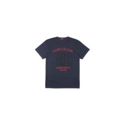 T-shirt męski. Szare t-shirty męskie marki TXM, m. Za 24,99 zł.