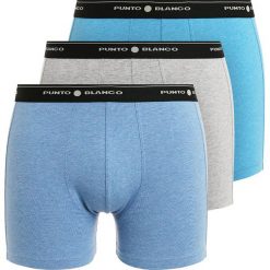 Punto Blanco 3 PACK Panty turquoise. Niebieskie slipy męskie Punto Blanco, z bawełny. Za 169,00 zł.